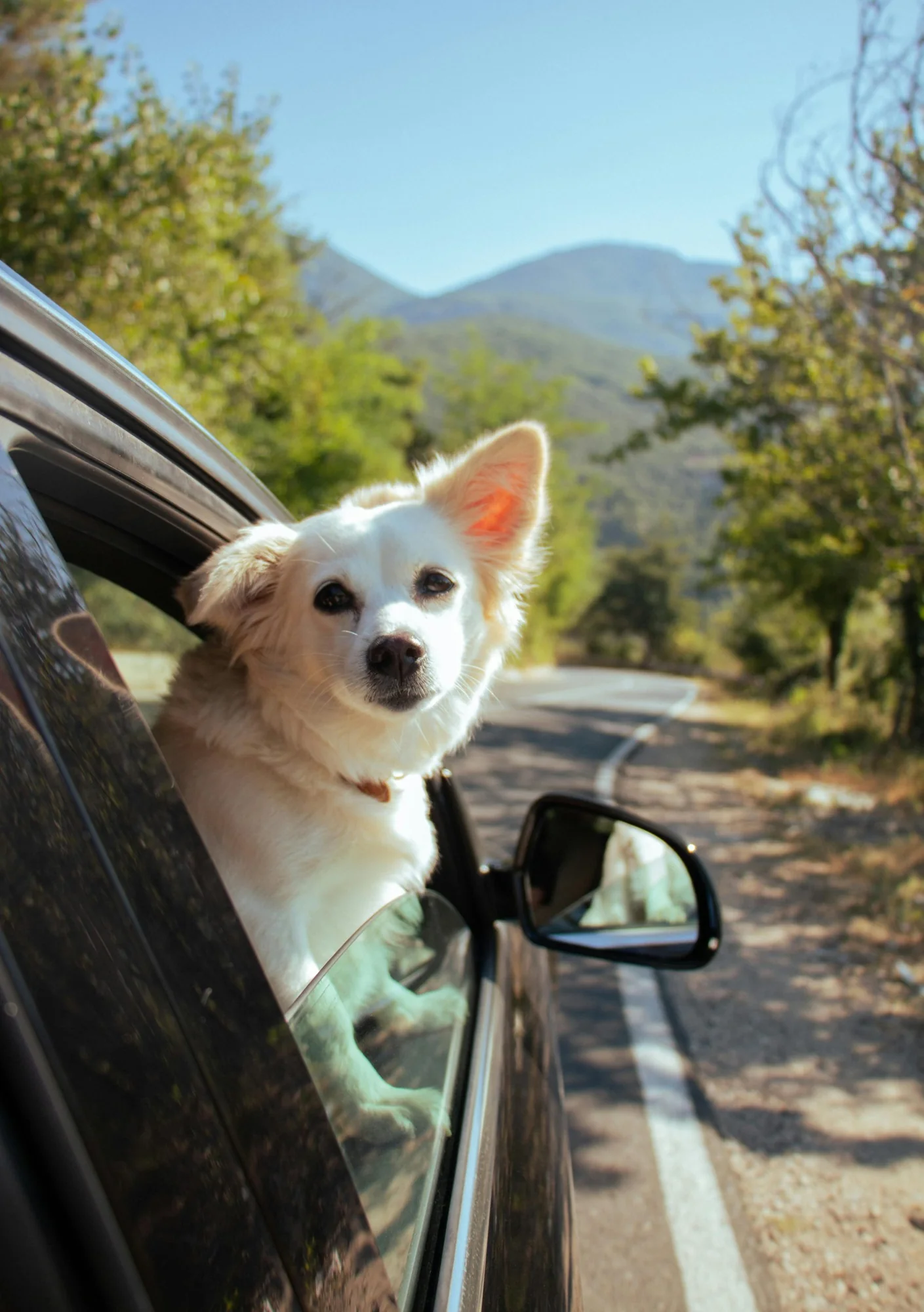 Conseils de voyage