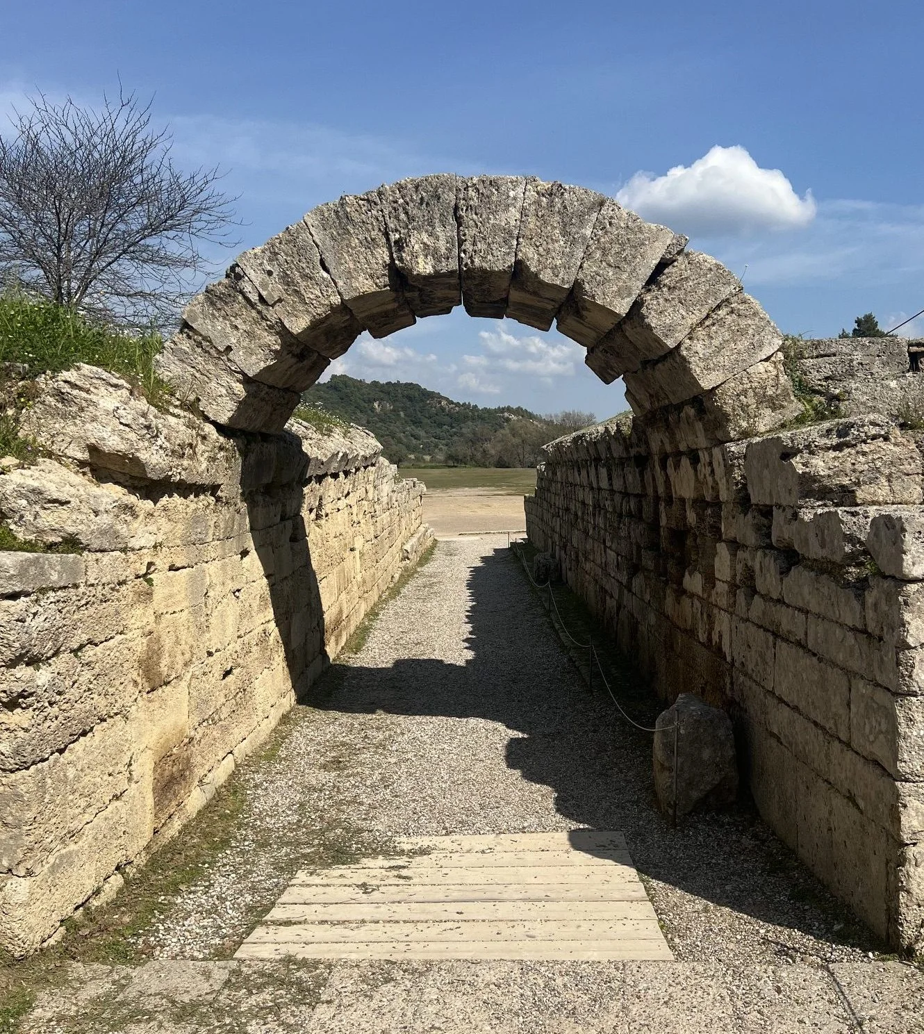Olympie :